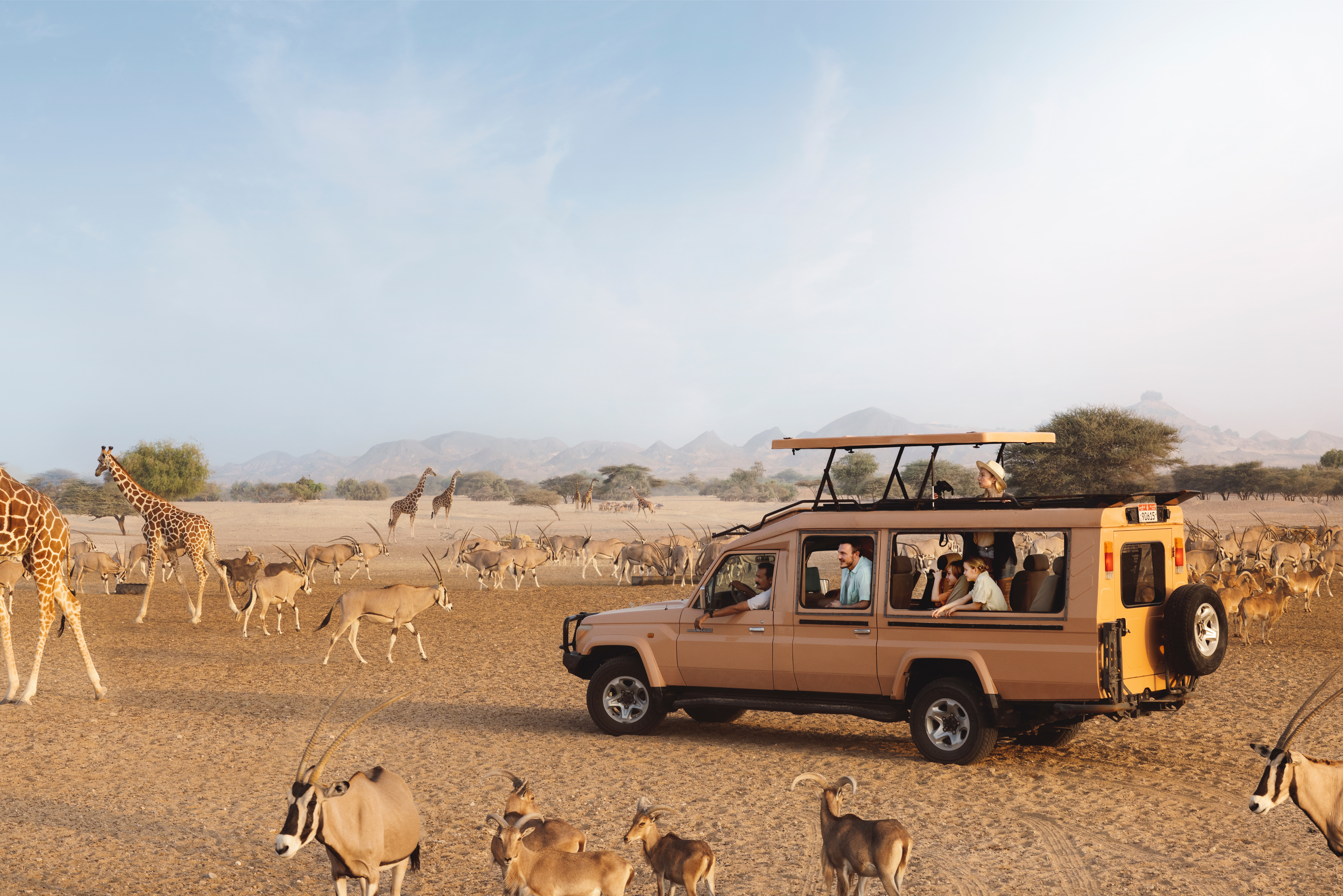 Sir Bani Yas Island